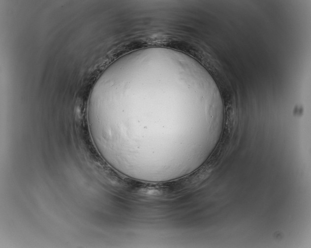 X0000112880655200909181849