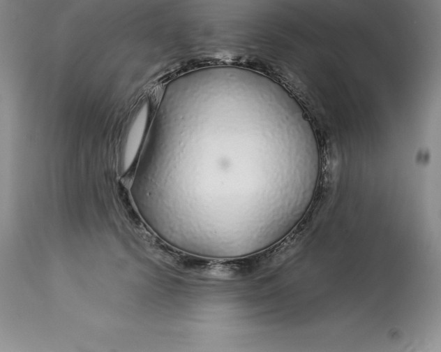 X0000112880656200909181849