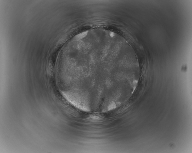 X0000112880659200909181849