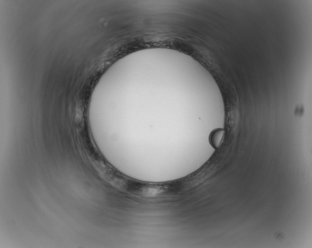 X0000112880662200909181849