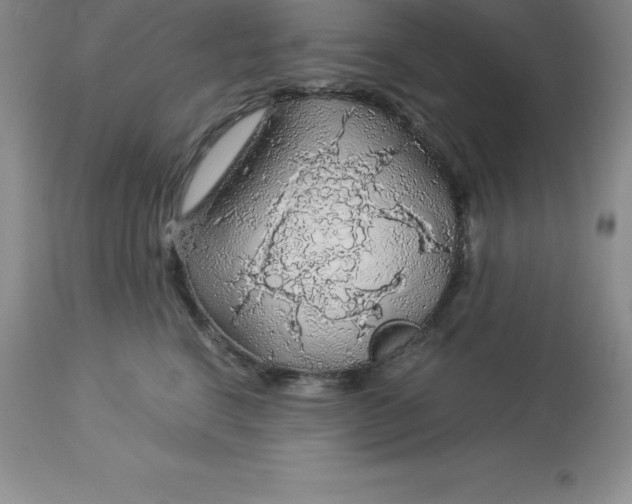 X0000112880664200909181849