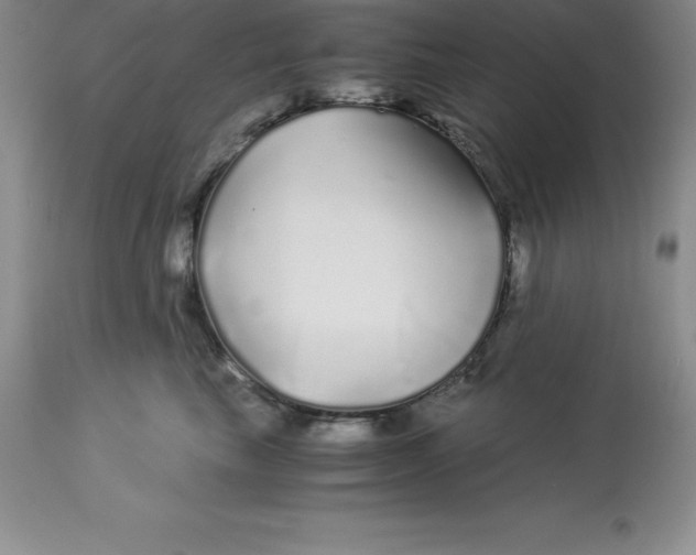 X0000112880665200909181849