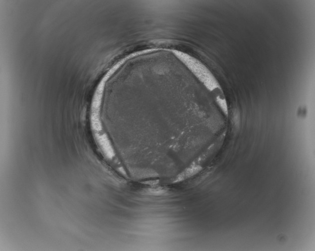 X0000112880668200909181849