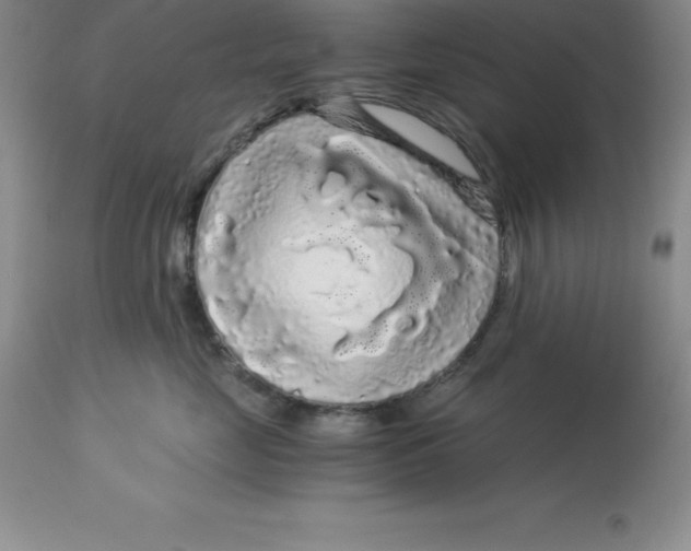 X0000112880669200909181849