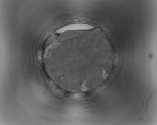 X0000112880670200909181849