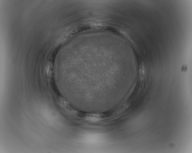 X0000112880671200909181849