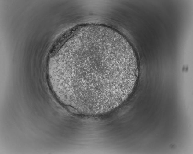 X0000112880673200909181849