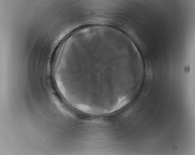 X0000112880674200909181849