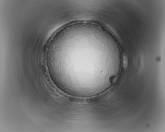 X0000112880675200909181849