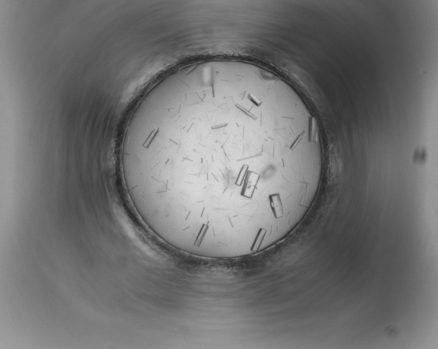 X0000112880677200909181849
