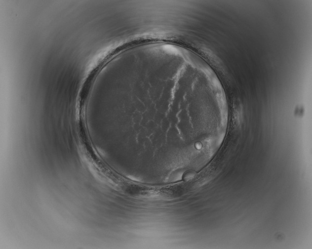 X0000112880678200909181849