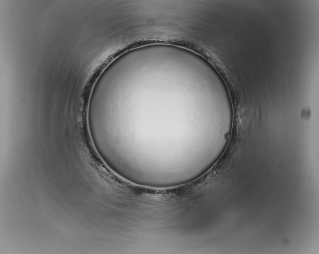 X0000112880679200909181849