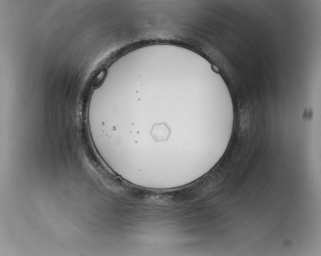 X0000112880680200909181849