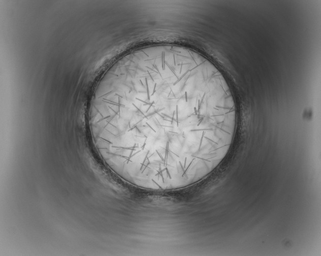 X0000112880681200909181849