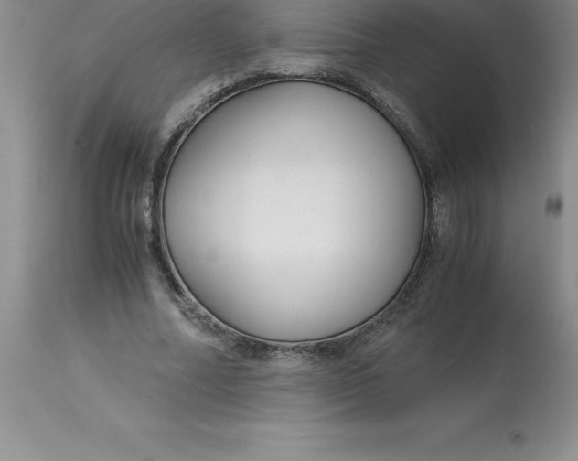 X0000112880682200909181849