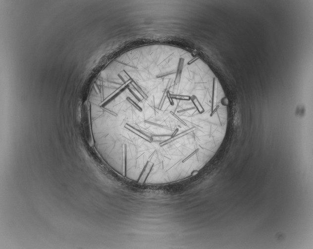 X0000112880685200909181849