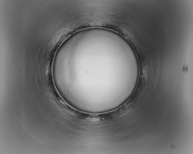 X0000112880687200909181849