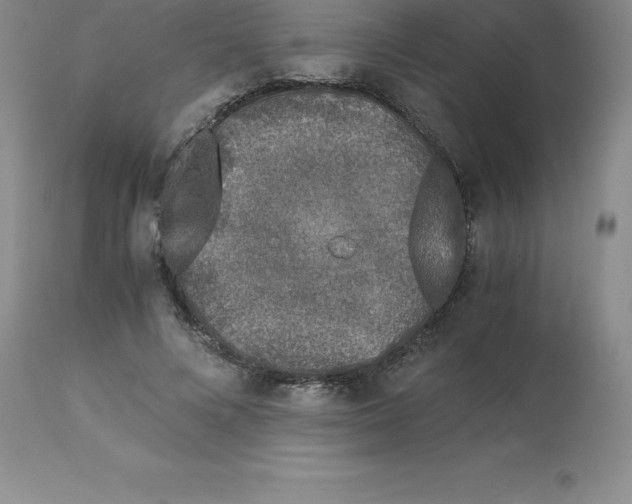 X0000112880688200909181849