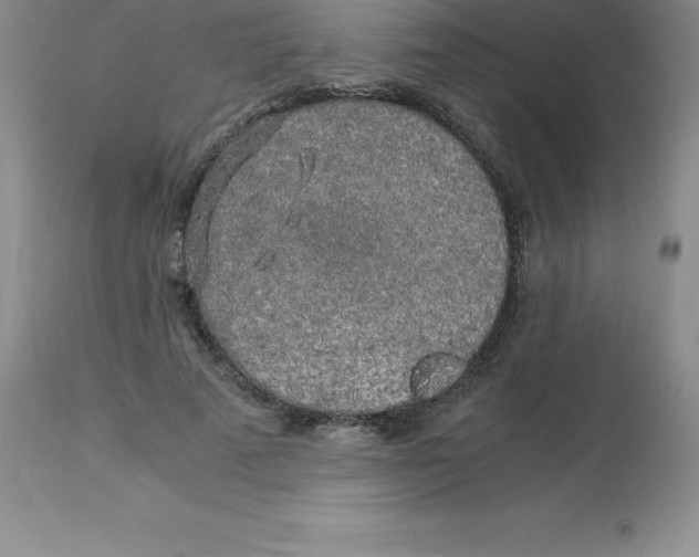 X0000112880689200909181849