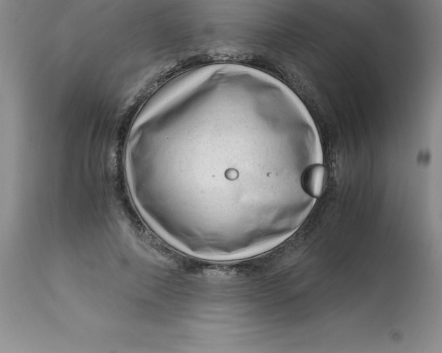 X0000112880690200909181848