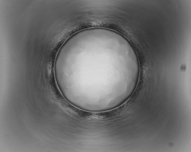 X0000112880691200909181848