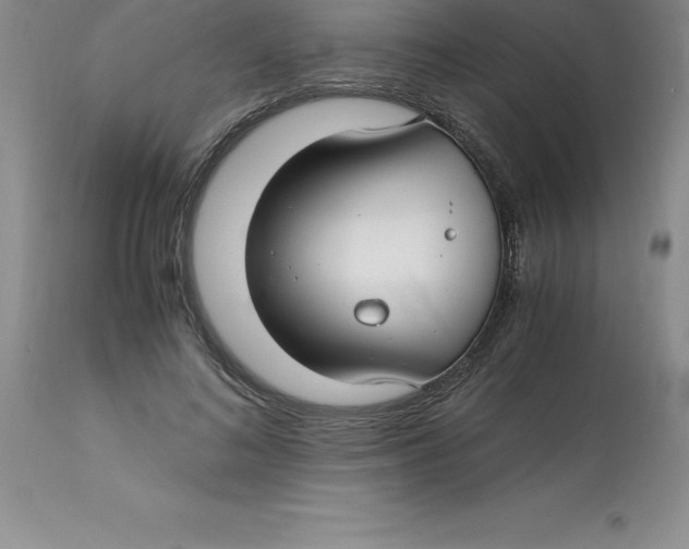 X0000112880692200909181848