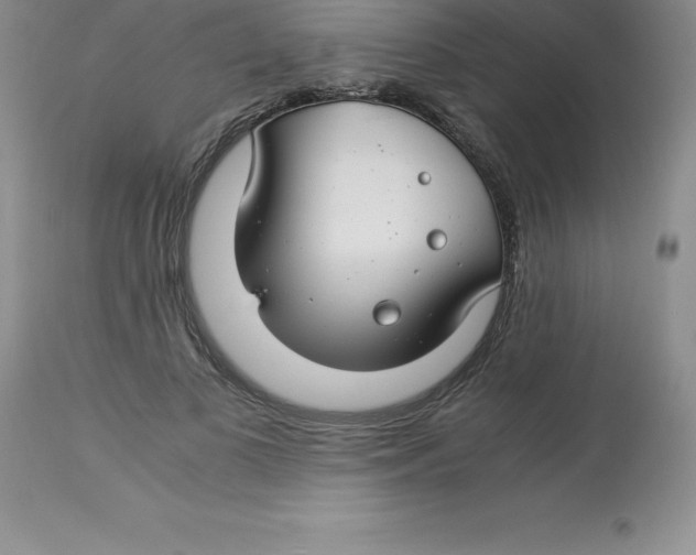 X0000112880693200909181848