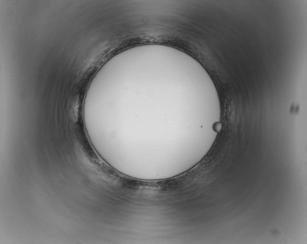 X0000112880694200909181848