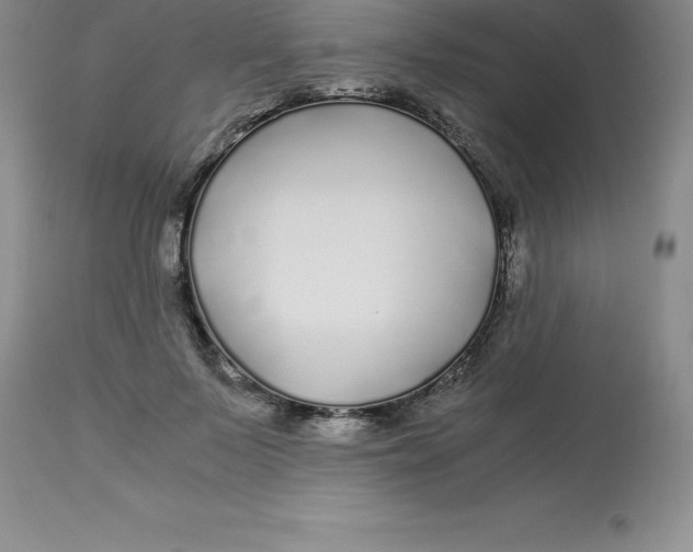 X0000112880695200909181848