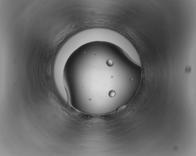 X0000112880696200909181848