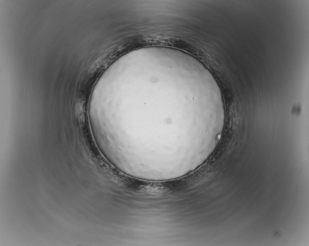 X0000112880699200909181848