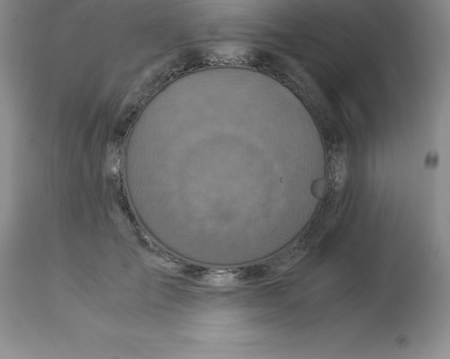 X0000112880701200909181848