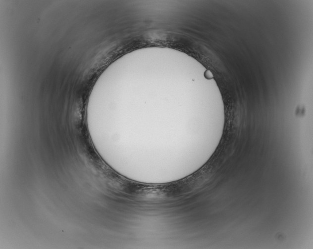 X0000112880702200909181848