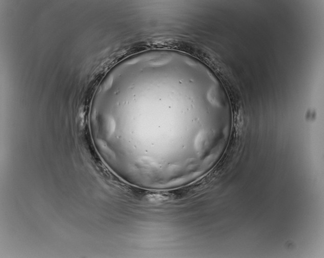 X0000112880703200909181848