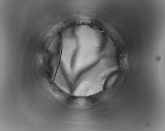 X0000112880704200909181848