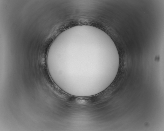 X0000112880706200909181848