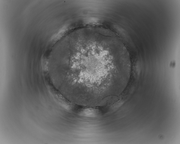 X0000112880708200909181848