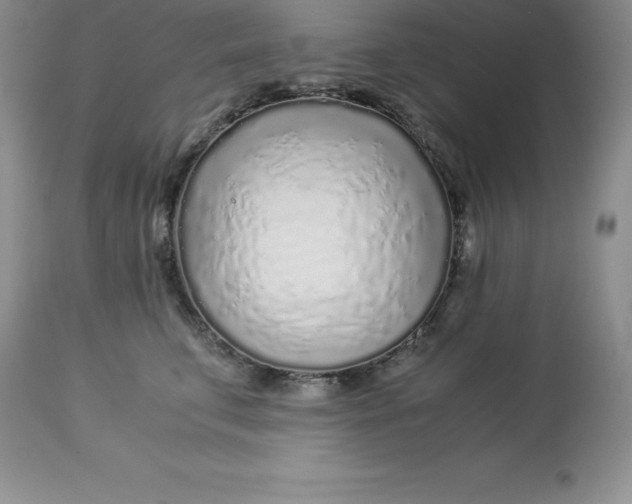 X0000112880711200909181848