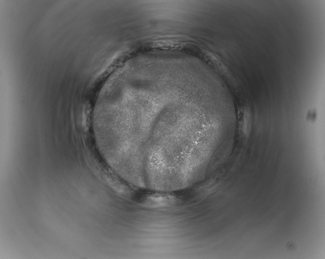 X0000112880712200909181848