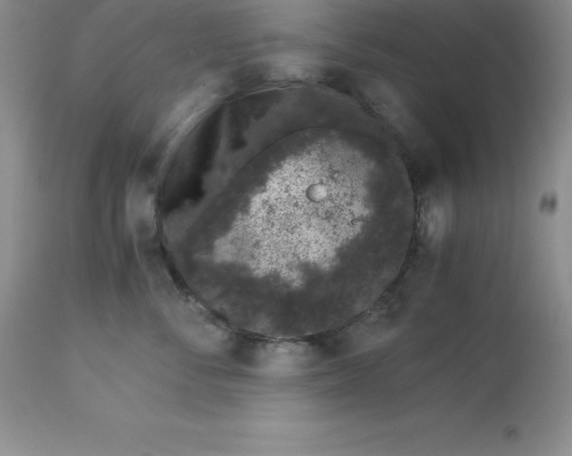 X0000112880716200909181848