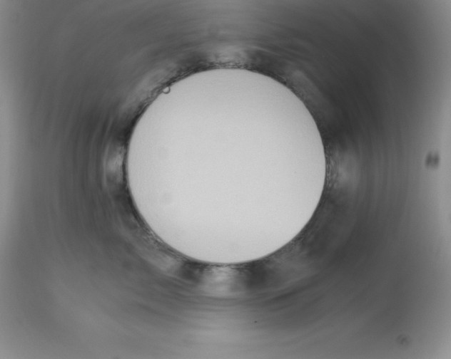 X0000112880717200909181848