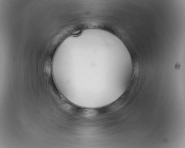 X0000112880719200909181848