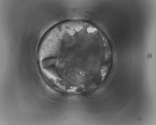 X0000112880721200909181847