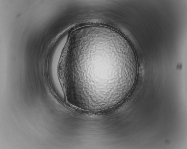 X0000112880722200909181847