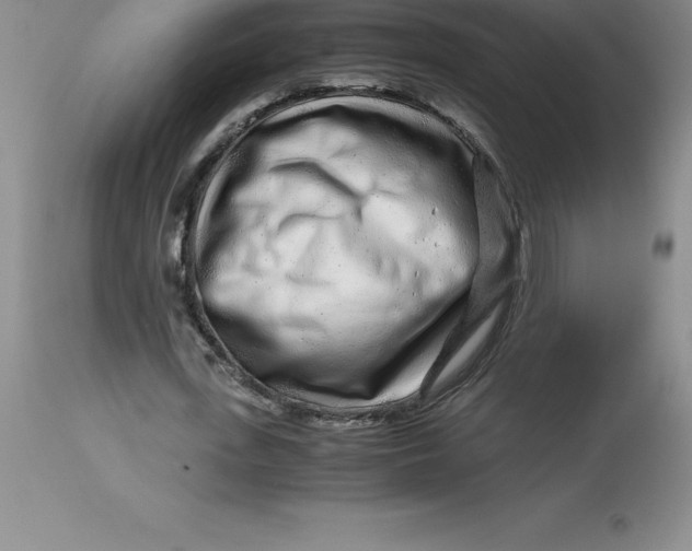 X0000112880723200909181847