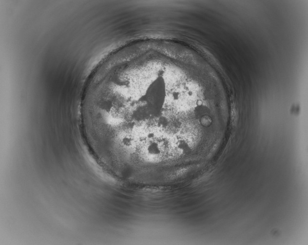 X0000112880725200909181847