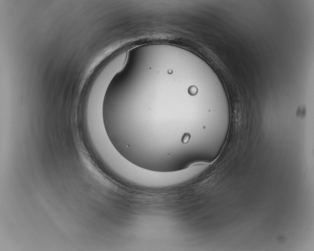 X0000112880726200909181847