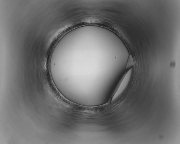 X0000112880727200909181848