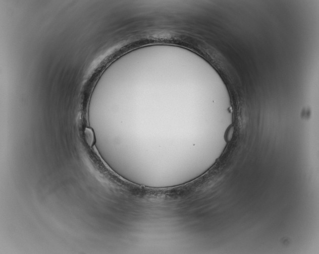 X0000112880728200909181848