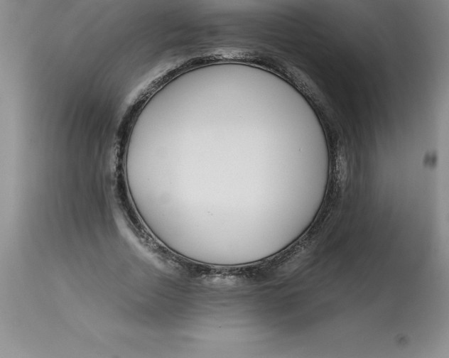 X0000112880730200909181848